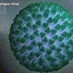 BlueToungeVirus