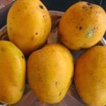 national-fruit-of-india