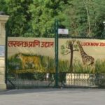 lucknow-zoo