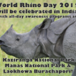 WRD-India-Kaziranga