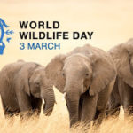 WorldWildlifeDay