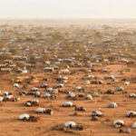 dadaab