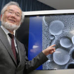 YoshinoriOhsumi