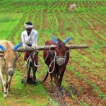 indian-agriculture-sector