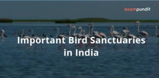 Important Bird Sanctuaries in India