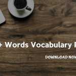 Vocabulary Words PDF