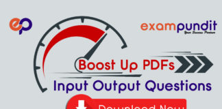 Input Output Questions and Answers PDF