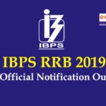 IBPS RRB 2019 Notification