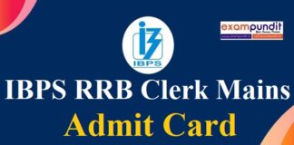 IBPS RRB Clerk Mains Admit Card 2021