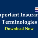 Important Insurance Terminologies PDF