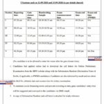 IBPS RRB exam timing schedule